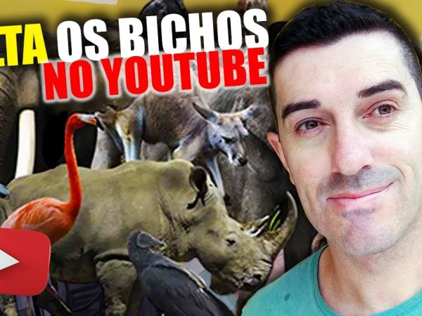 Como Criar Um Canal Com Sons dos Animais no Youtube