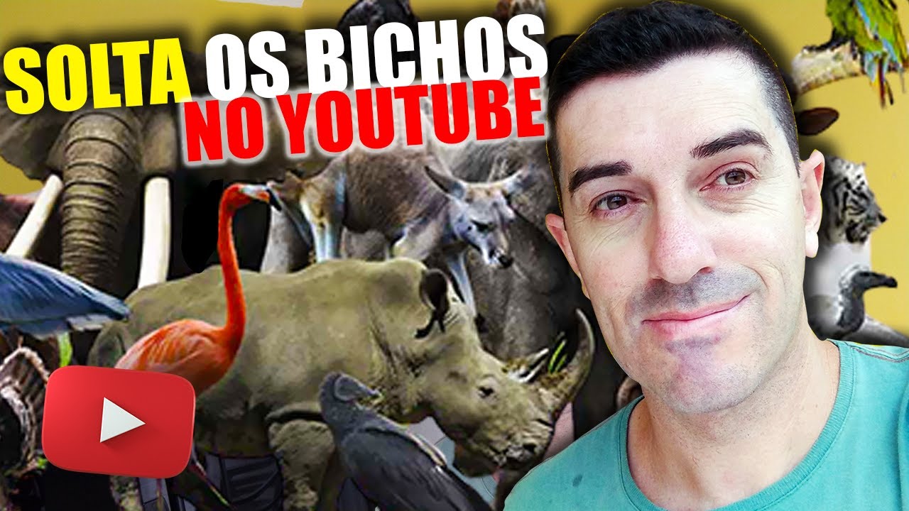Como Criar Um Canal Com Sons dos Animais no Youtube